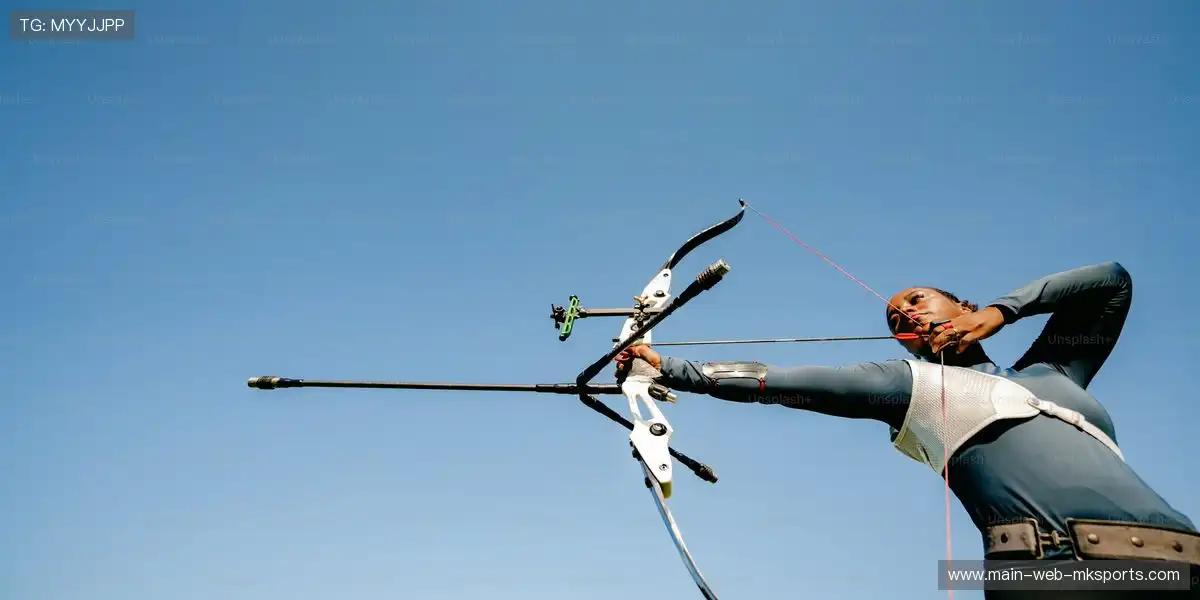 🌍 全年版权计划，稳定内容输出！